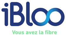 ibloo logo